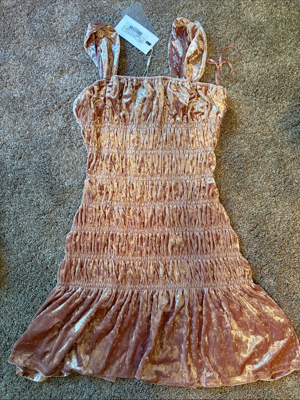 Endless Rose velvet dress